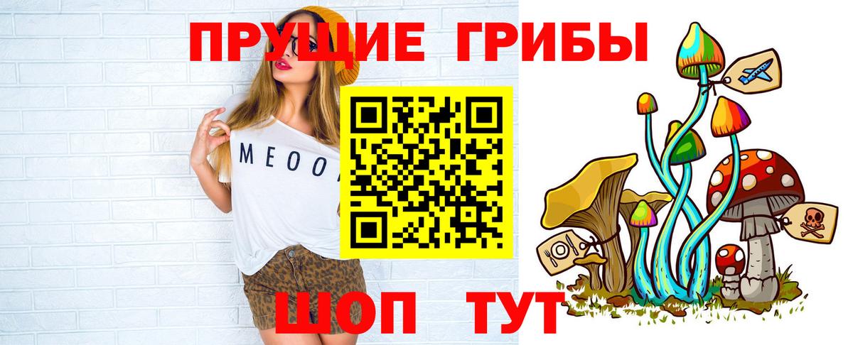Торжок  Псилоцибиновые грибы Psilocybine cubensis  Вход с VPN  Псилоцибиновые грибы MAGIC MUSHROOMS 